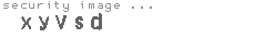 security image