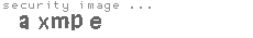 security image