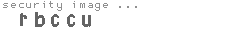 security image