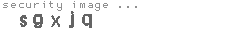 security image