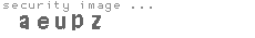 security image