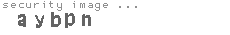 security image