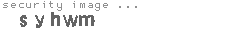 security image