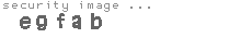 security image
