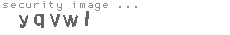 security image