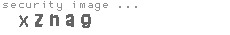 security image