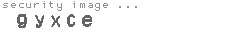 security image
