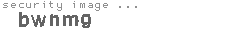 security image