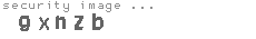 security image