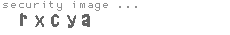 security image