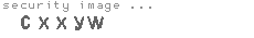 security image