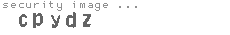 security image