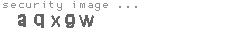 security image