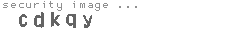 security image