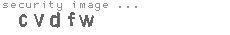 security image