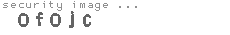 security image