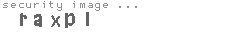 security image