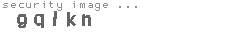 security image