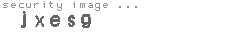 security image