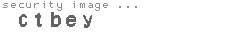 security image