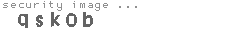 security image