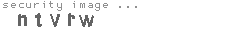 security image