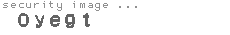 security image