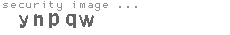 security image