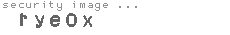 security image