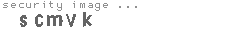 security image