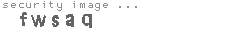 security image