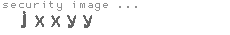 security image
