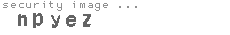 security image