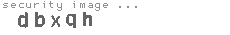 security image