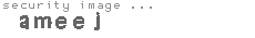 security image