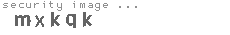 security image