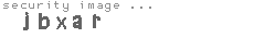 security image