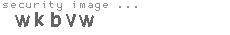 security image
