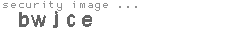security image