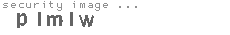 security image