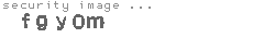 security image