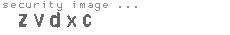 security image
