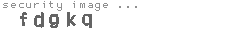 security image