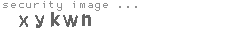 security image