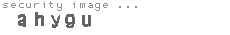 security image
