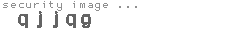 security image