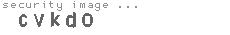 security image