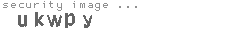 security image