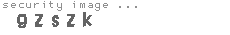 security image
