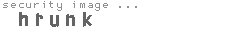 security image